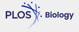 Postdoctoral Scientists Are Mentors, and It Is Time to Recognize Their Work